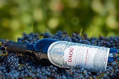 Daou Wine Dinner