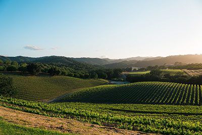 Opolo Vineyards Wine Dinner